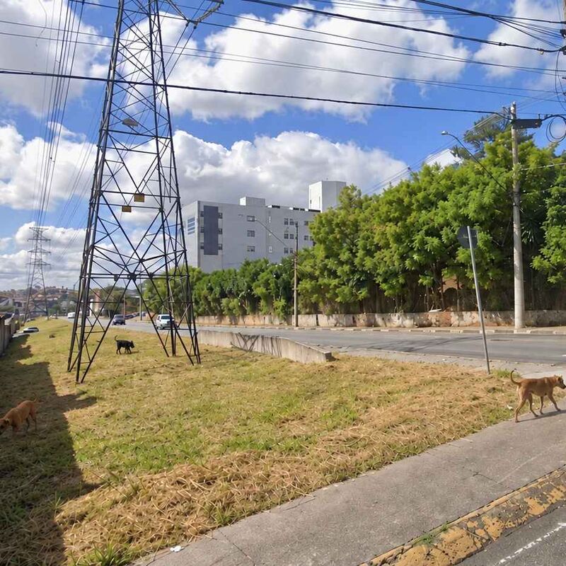 Imagem da publicação