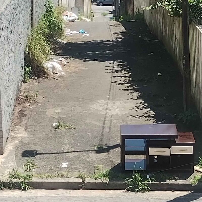 Imagem da publicação