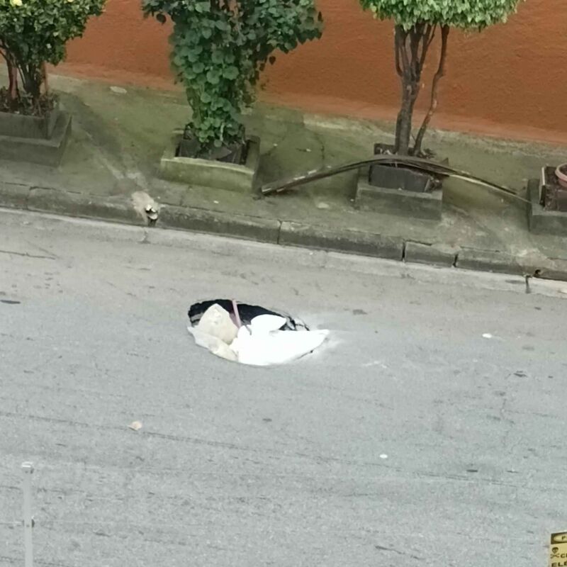 Imagem da publicação