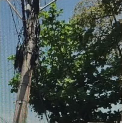 Imagem da publicação