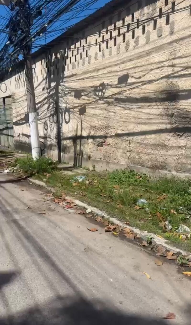 Imagem da publicação