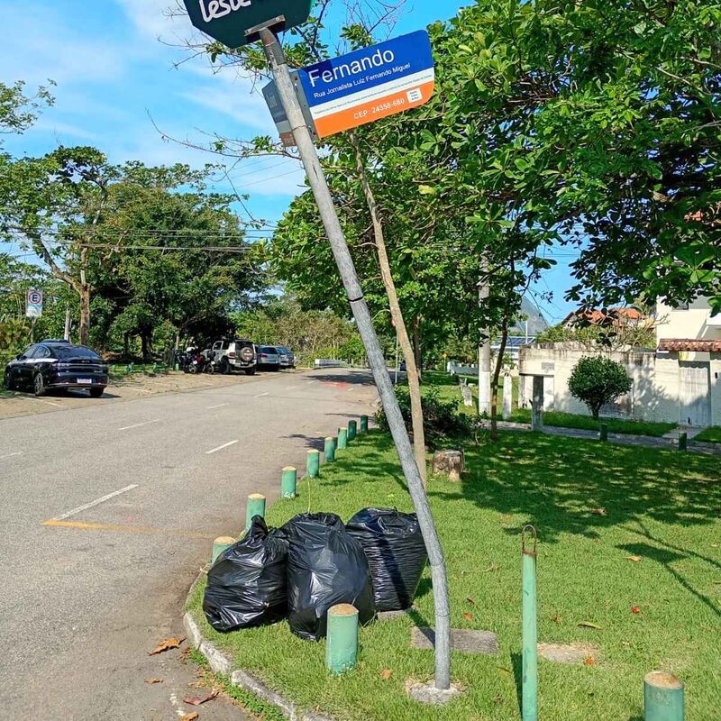 Imagem da publicação
