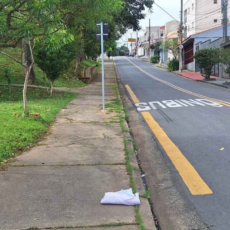 Imagem da publicação