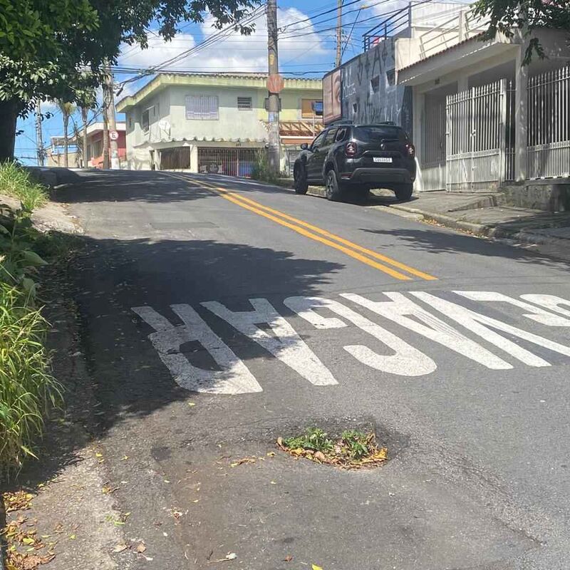 Imagem da publicação