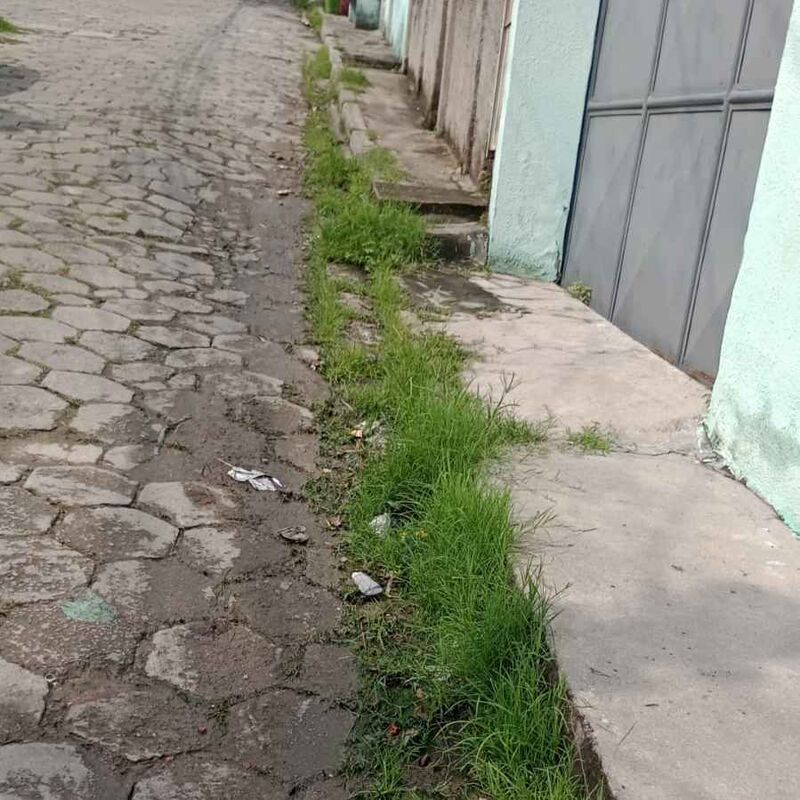 Imagem da publicação