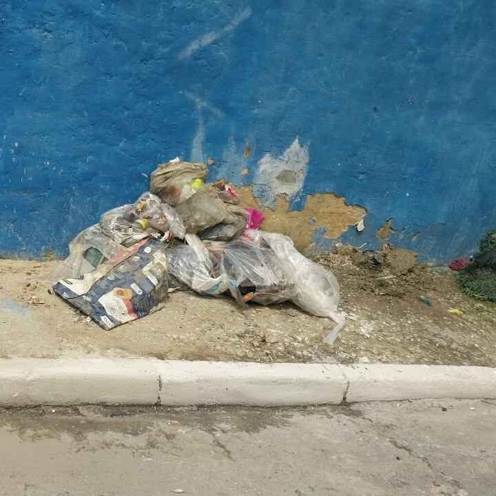 Imagem da publicação