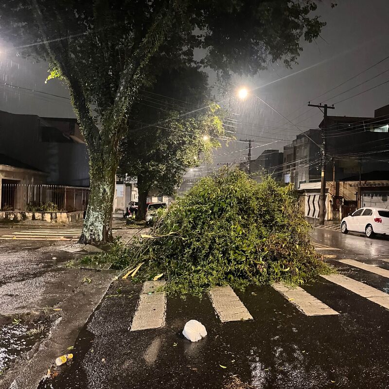 Imagem da publicação