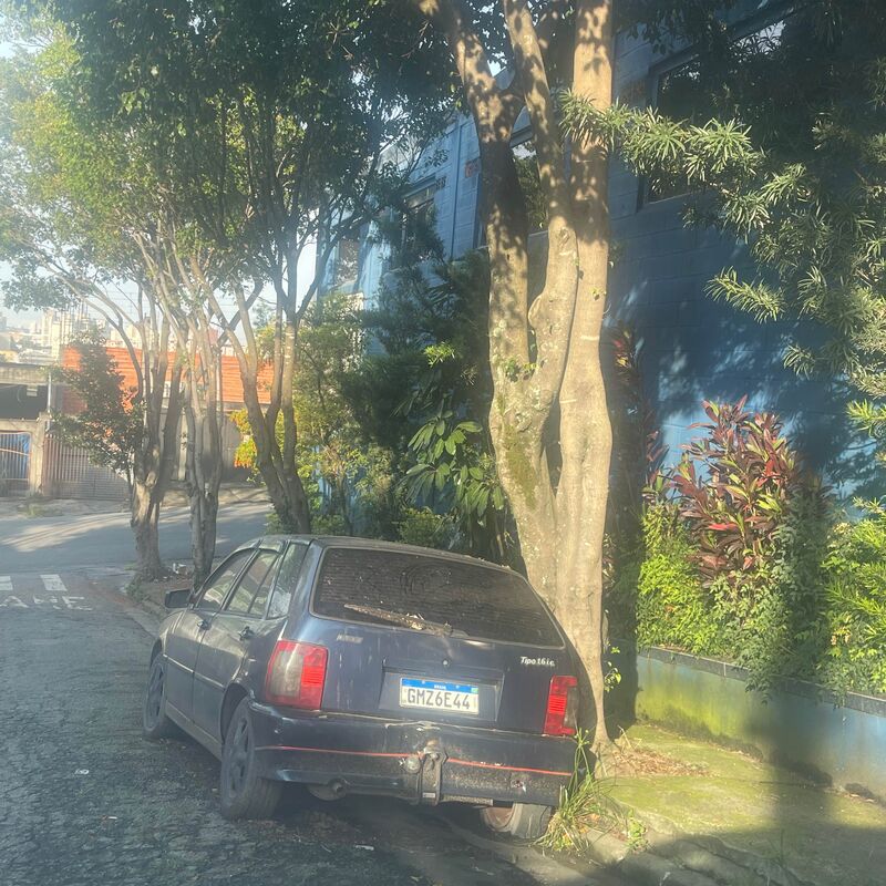 Imagem da publicação