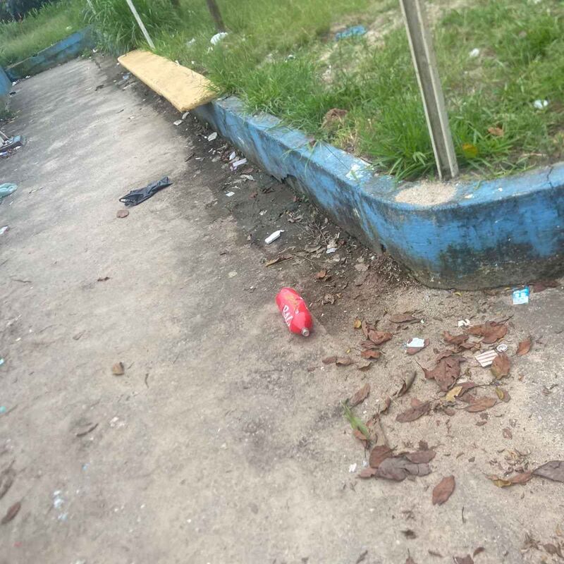 Imagem da publicação