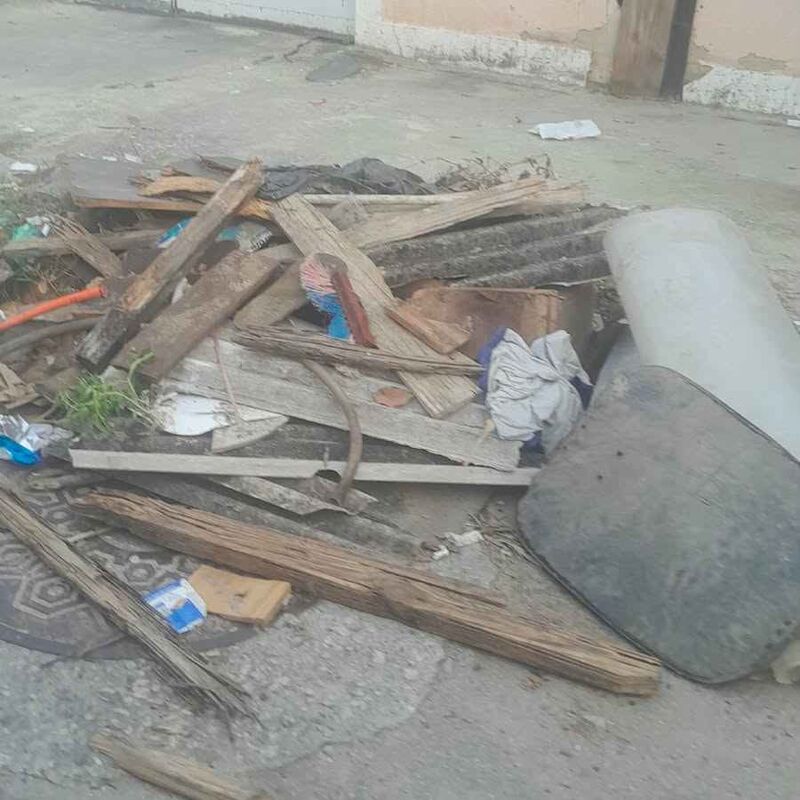 Imagem da publicação