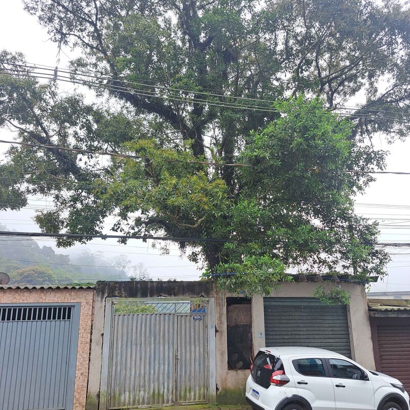 Imagem da publicação