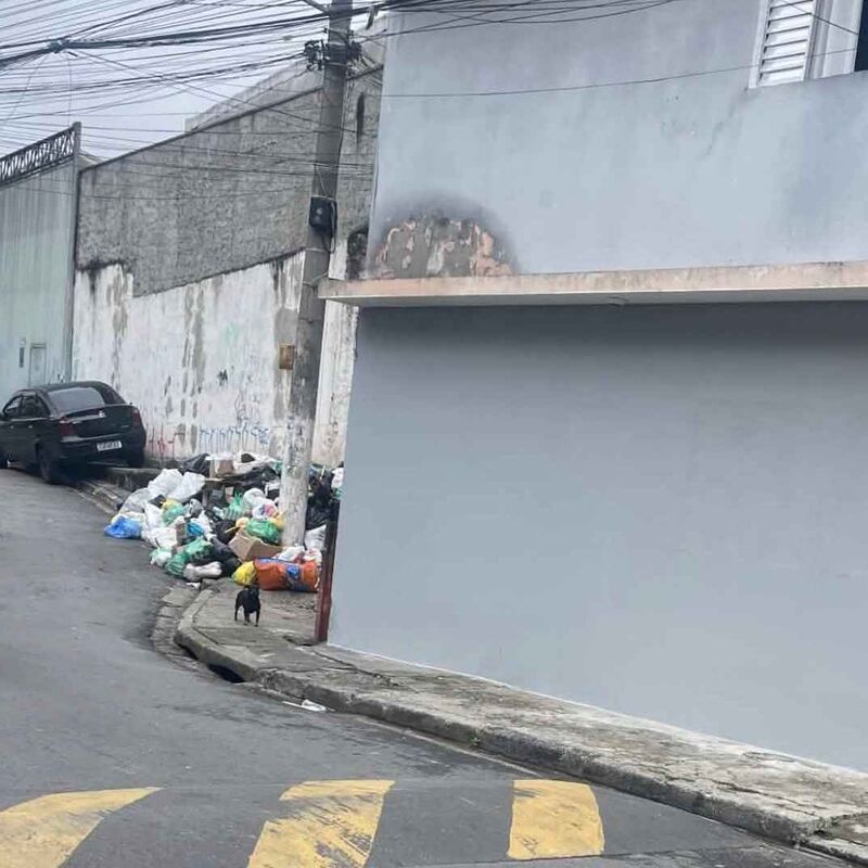 Imagem da publicação