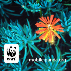 ANGELA DE fREITAS CANHA