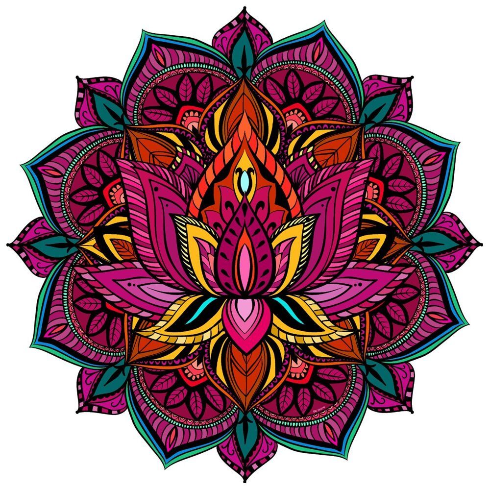 JOICE IZABELA MEDRADO LIMA