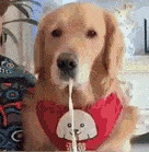 Erick Pereira Santos