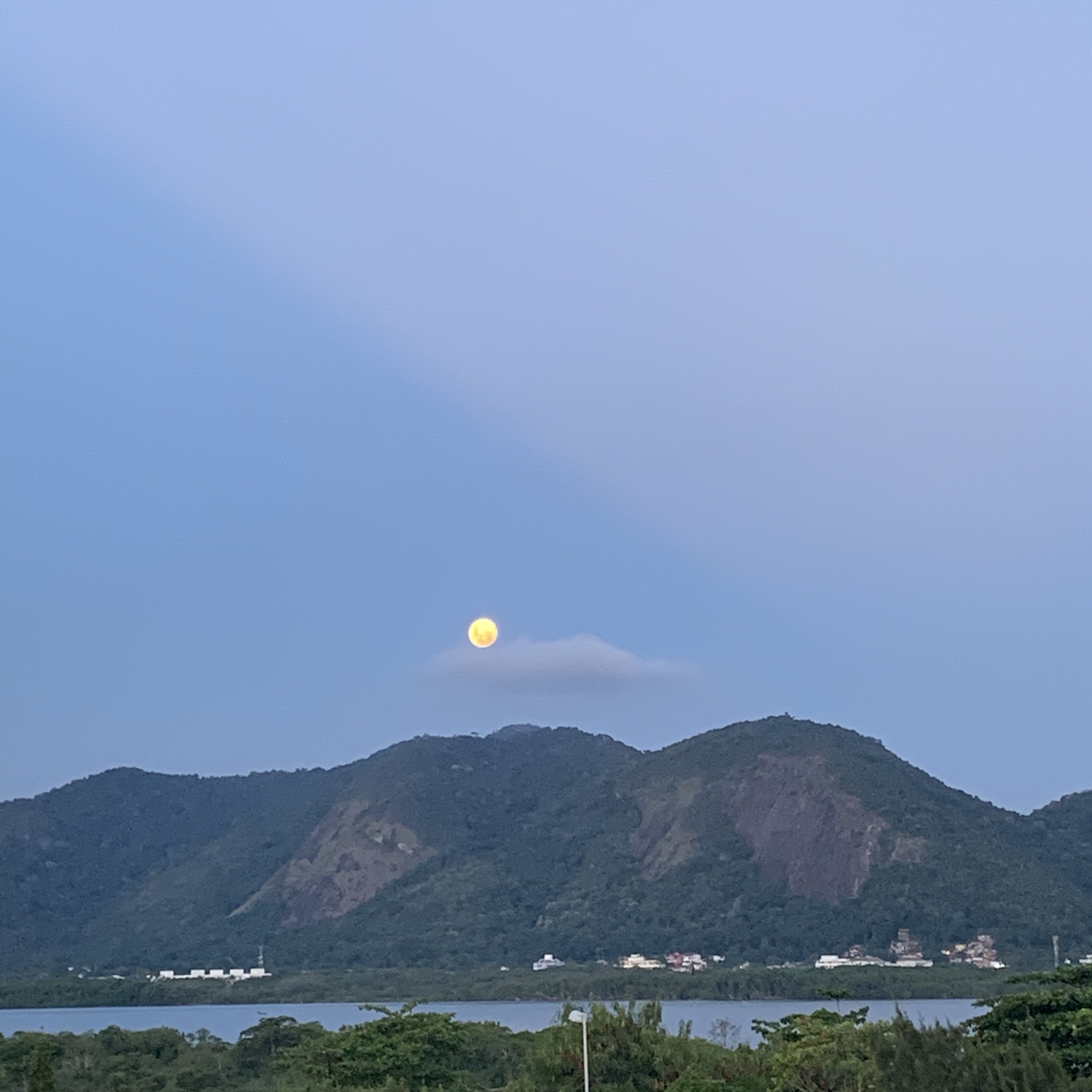 Anna Carolina Peixoto