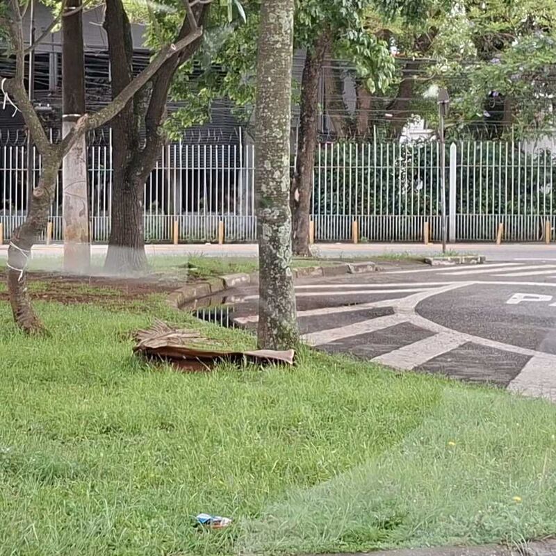 Imagem da publicação