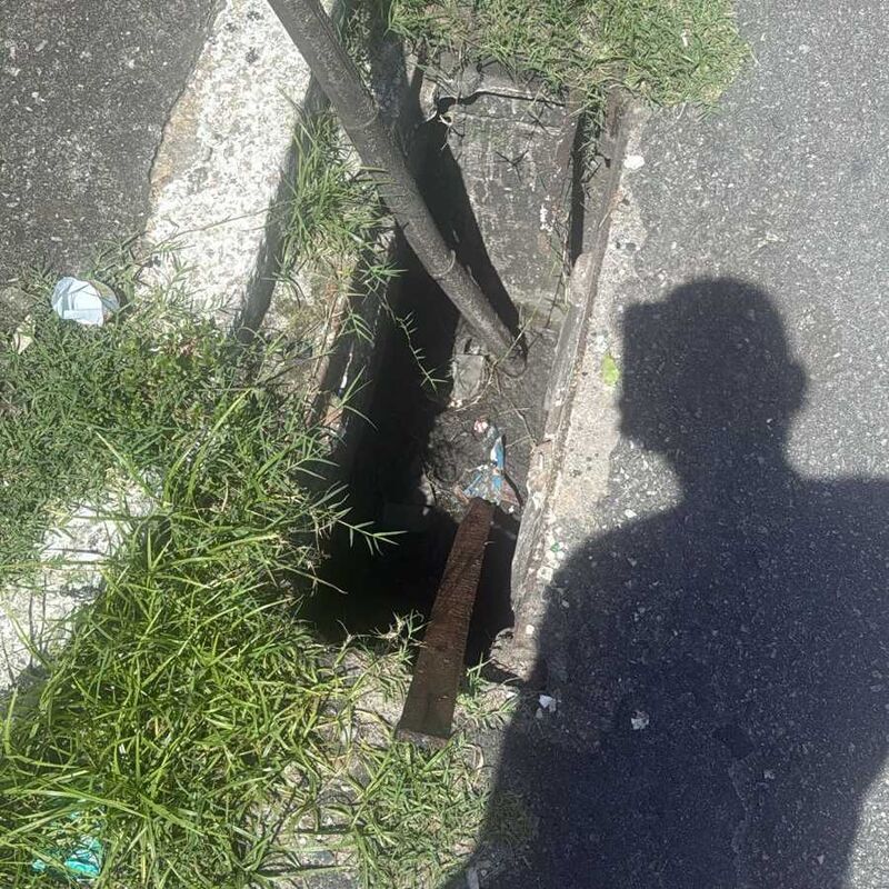 Imagem da publicação