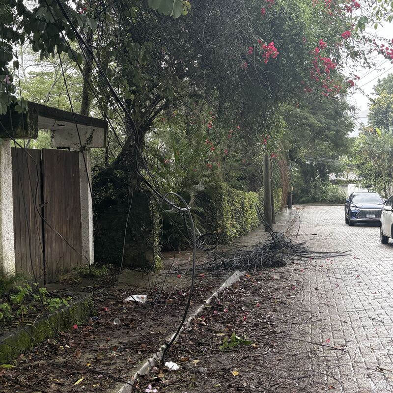 Imagem da publicação
