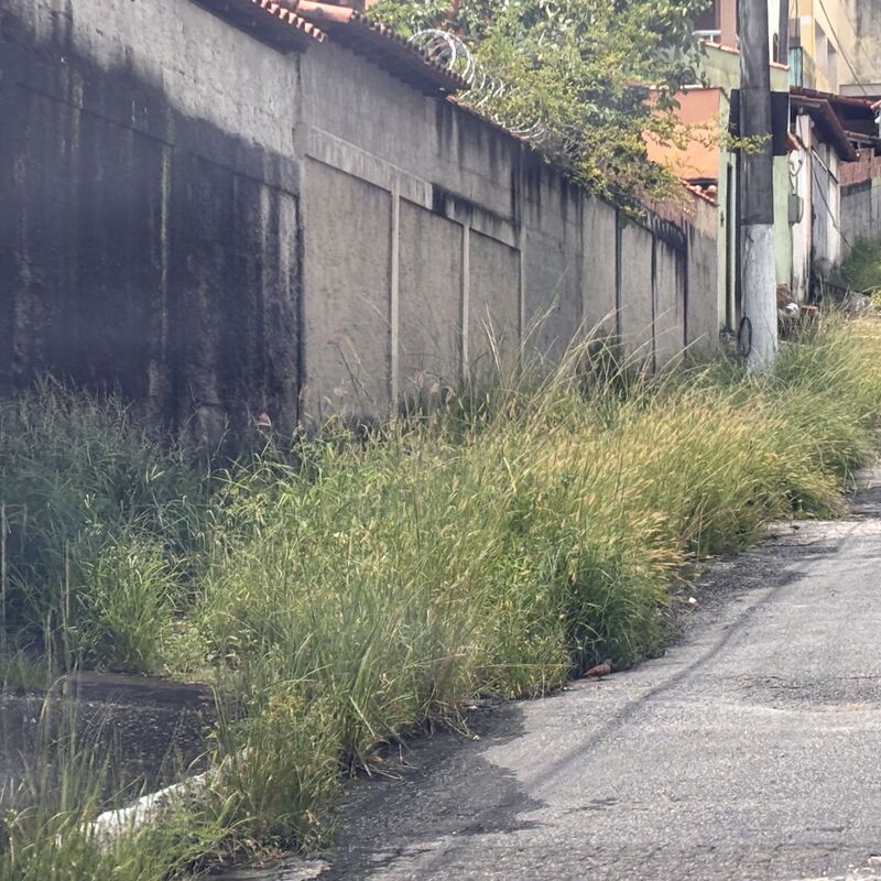 Imagem da publicação