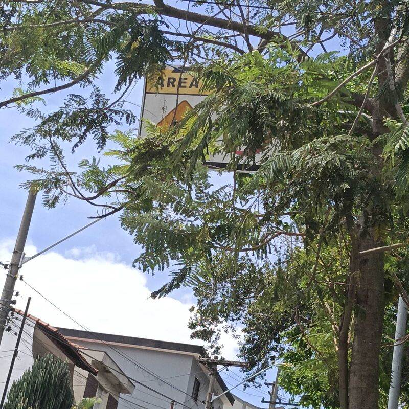 Imagem da publicação