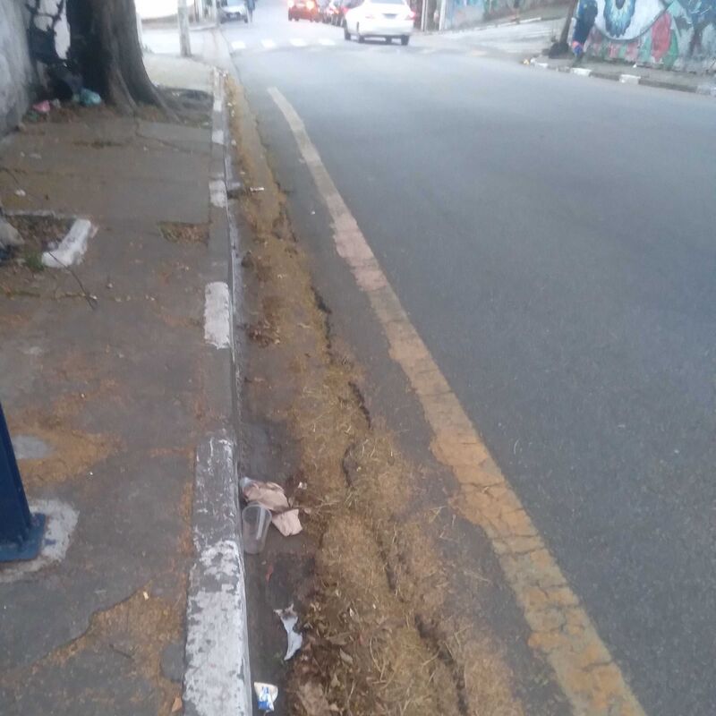 Imagem da publicação