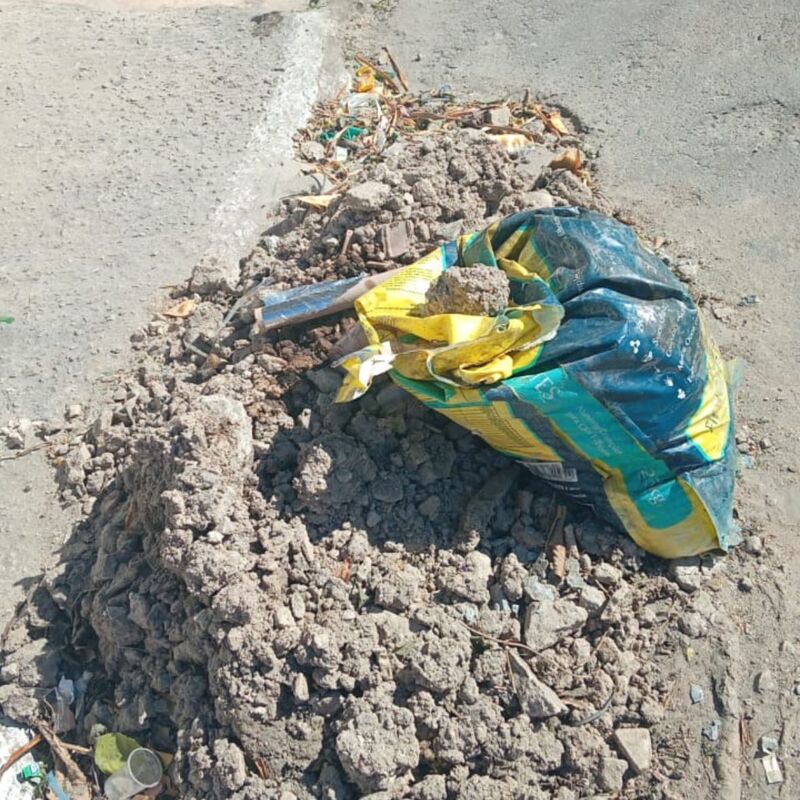 Imagem da publicação