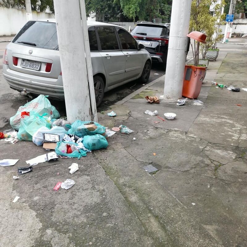 Imagem da publicação