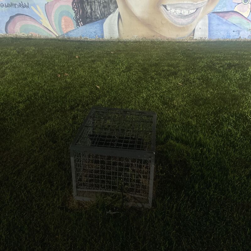 Imagem da publicação