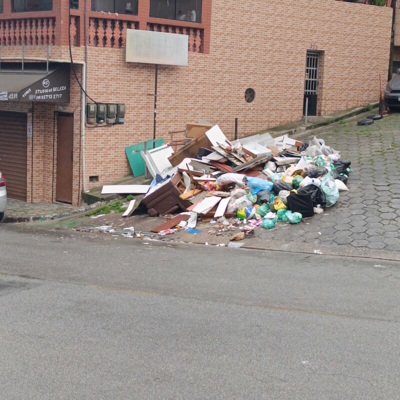 Imagem da publicação