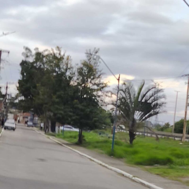 Imagem da publicação