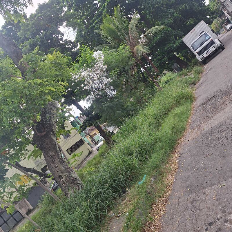 Imagem da publicação