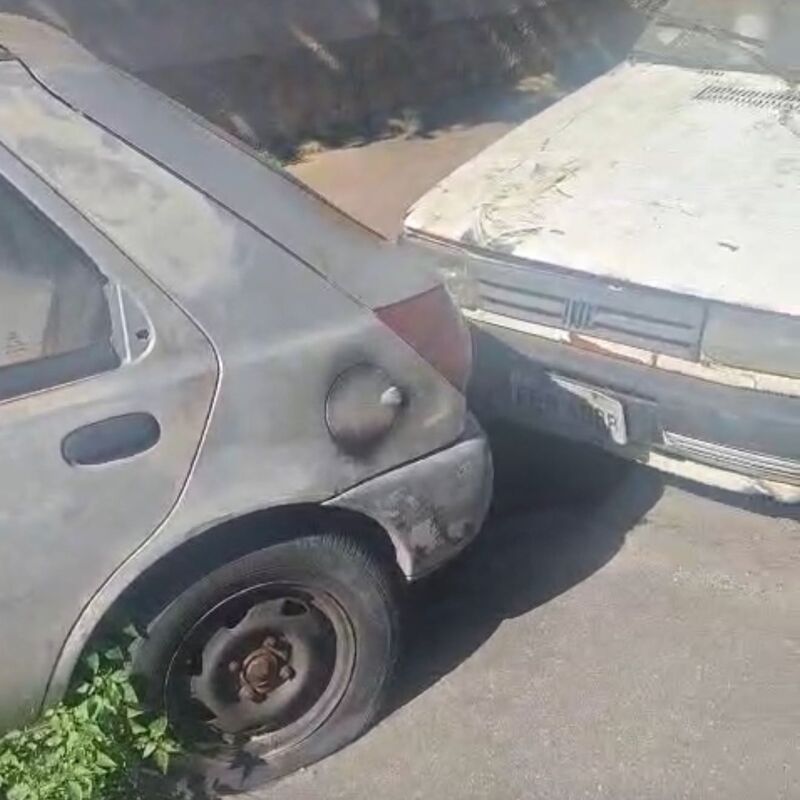 Imagem da publicação