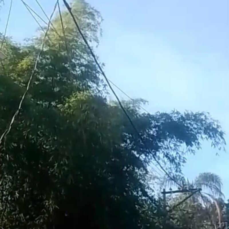 Imagem da publicação