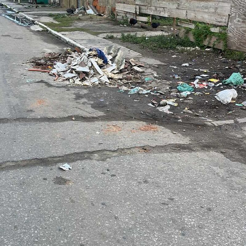 Imagem da publicação