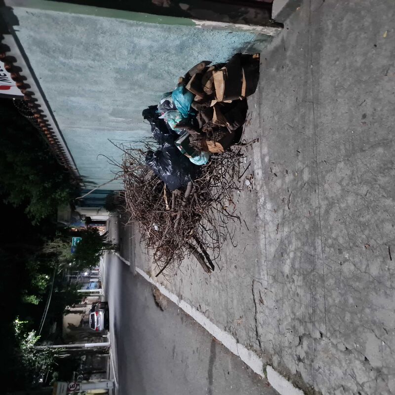 Imagem da publicação