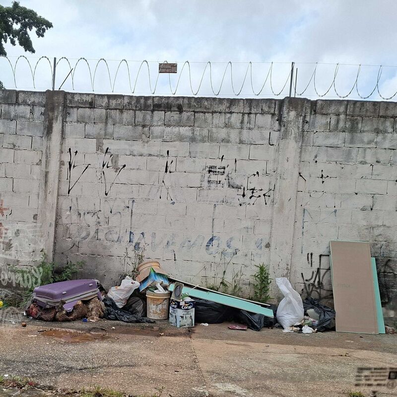Imagem da publicação