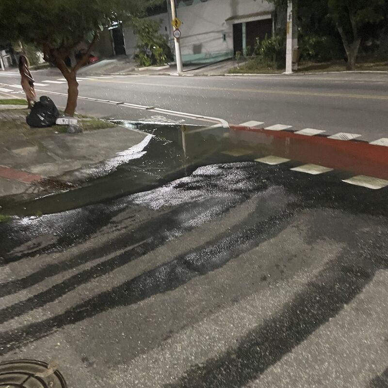 Imagem da publicação