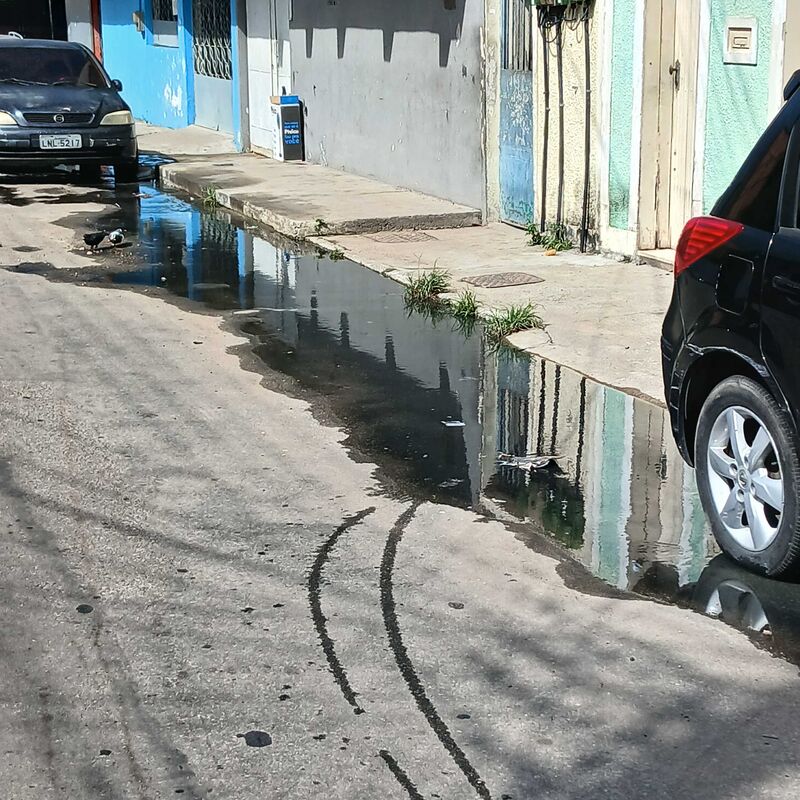 Imagem da publicação