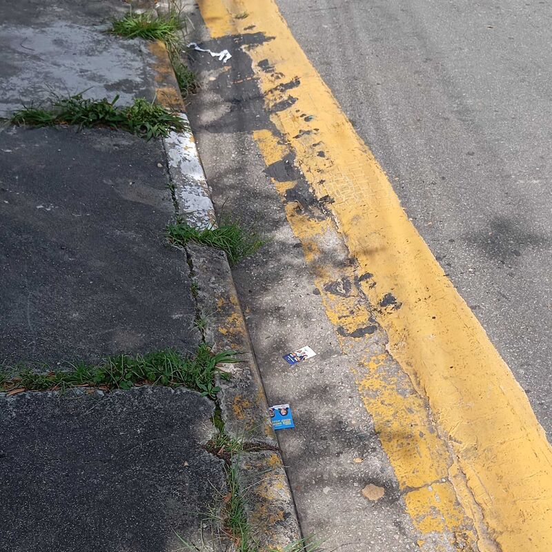 Imagem da publicação