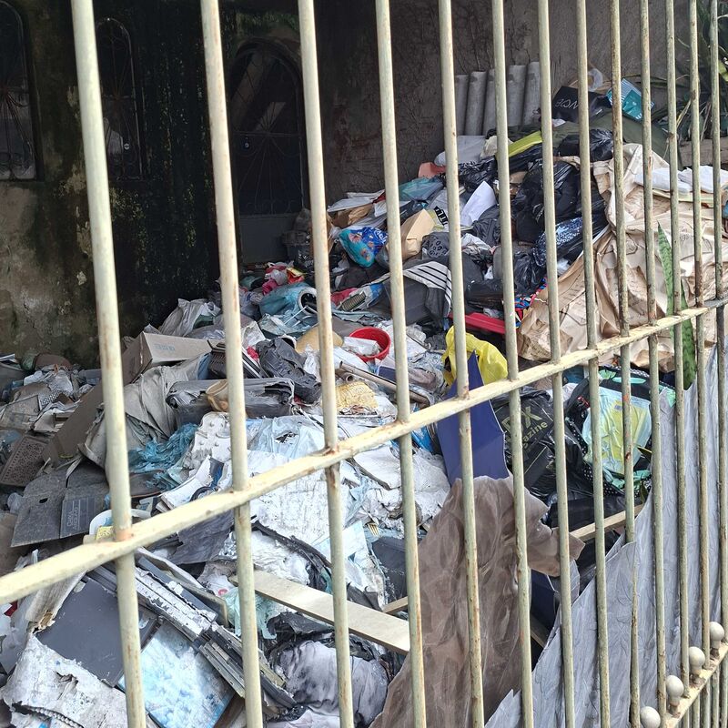 Imagem da publicação