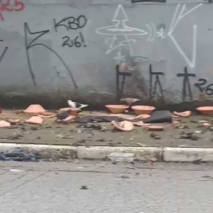 Imagem da publicação