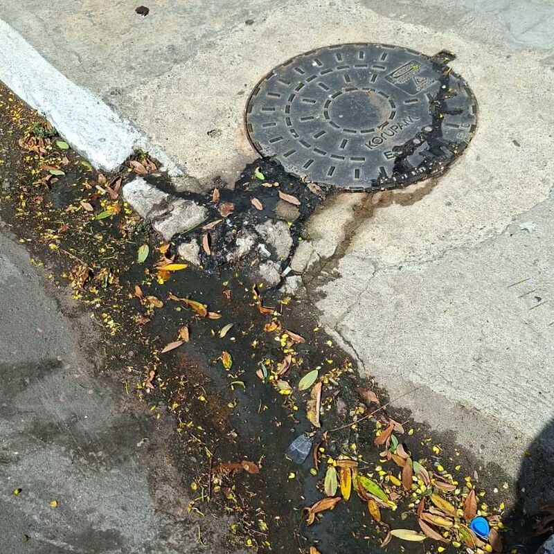 Imagem da publicação