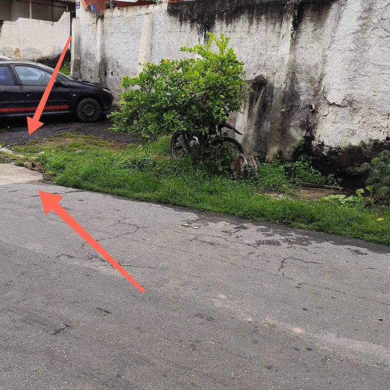 Imagem da publicação