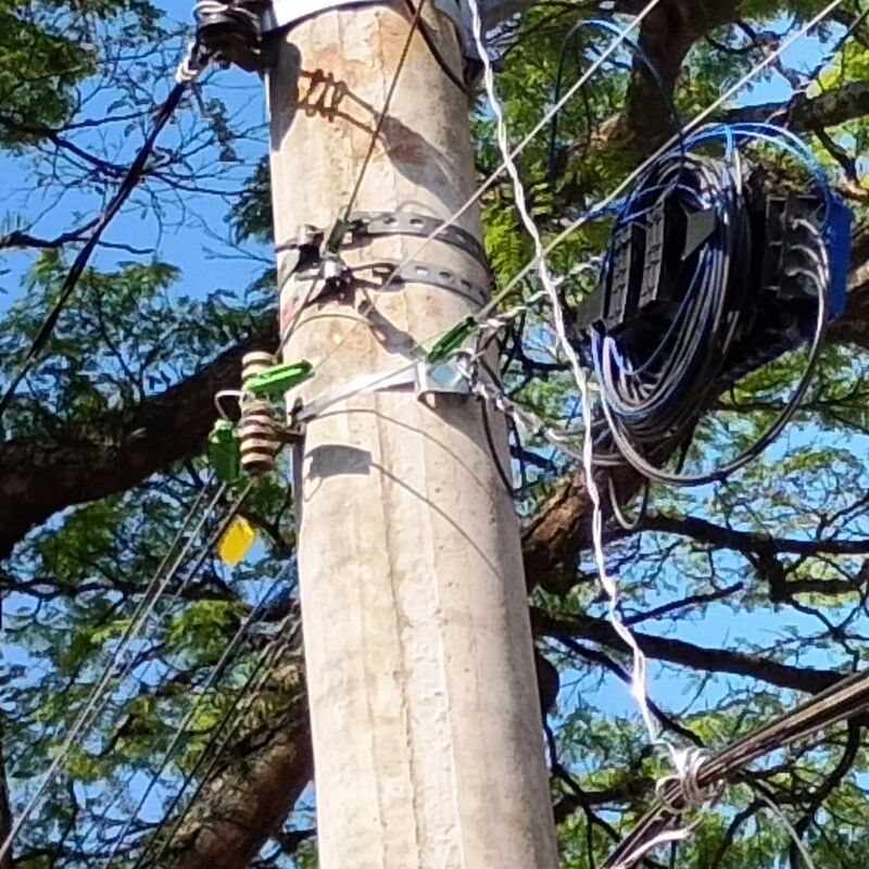 Imagem da publicação