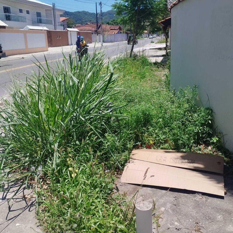 Imagem da publicação