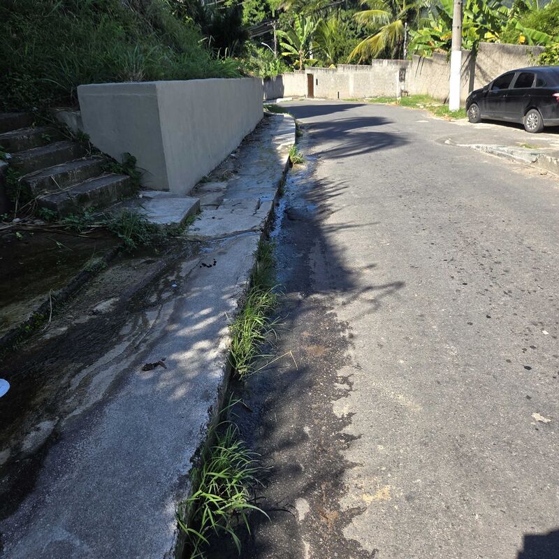 Imagem da publicação