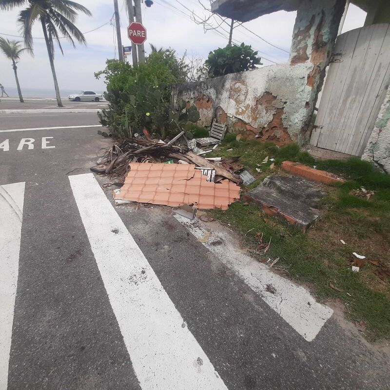 Imagem da publicação