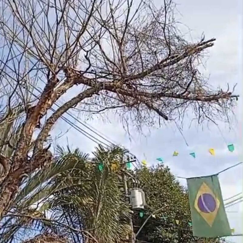 Imagem da publicação