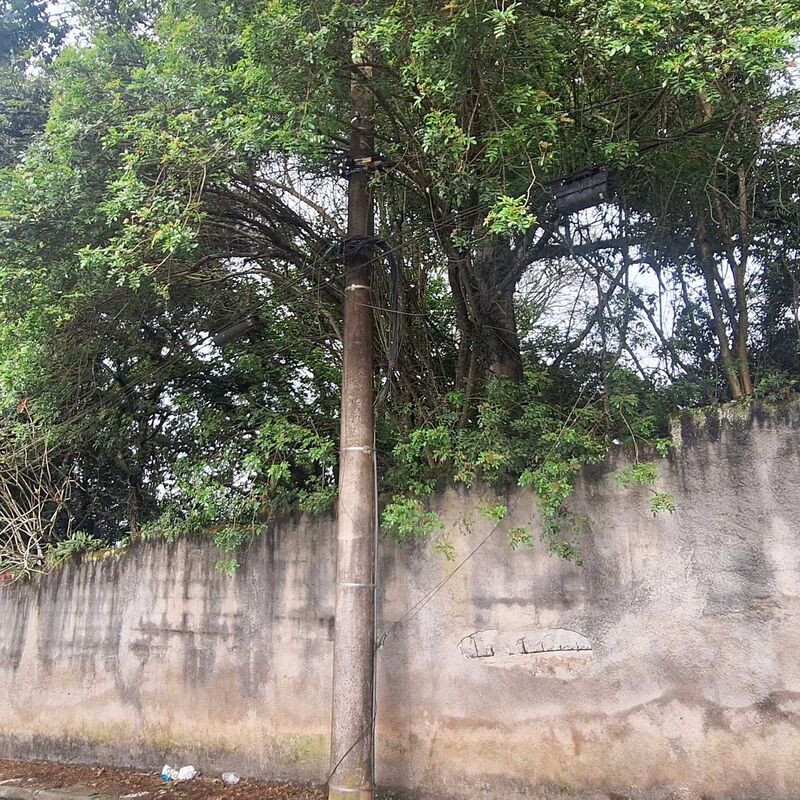 Imagem da publicação